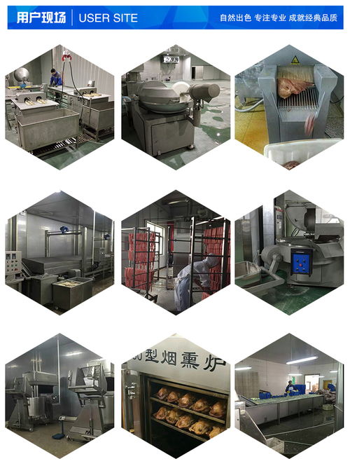 鱿鱼切圈机价格与选购指南 提升餐饮生产效率的利器